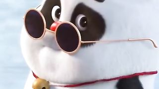 Funny videos