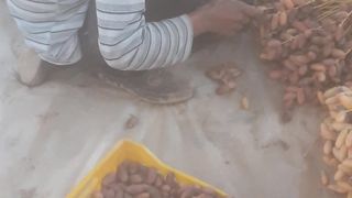 شرط السعاده