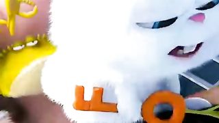 Funny videos