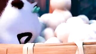 Funny videos