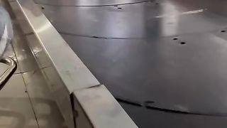 Pig in da plane