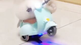 Cat toys