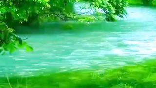 اروع مشهد