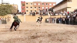 اين عشاق الخيل اتفرج وشوف للاخر بنعمل ايه احنا المصريين