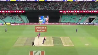 Doing shadab things