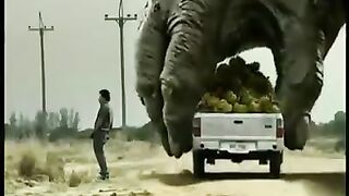 Car adbertising  hahaha????????
