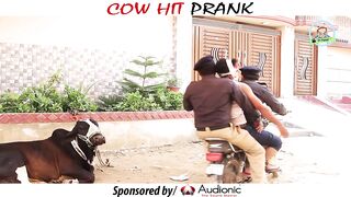 COW HIT PRANK - By Nadir Ali In - P4 Pakao - 2023