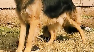 Dog lovers