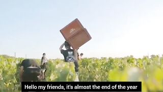 Unique and modern agriculture farming, techniques of farming vegetables and fruit from seeding to growing and harvesting