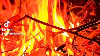 Bonfire