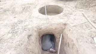 Village life work
