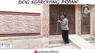 Dog Searching Prank - By Nadir Ali In - P4 Pakao - 2023