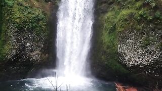 My village natural nature vlogs