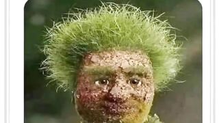 Funny video song clip