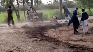 Village funn pakistan punjab