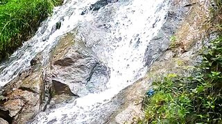 Nature water falls