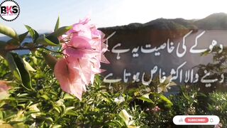 Urdu qoutes _ qoutes
