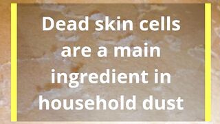 New Scientific Discovery