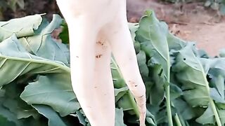 Radish.mooli