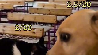 انا فى الامتحان