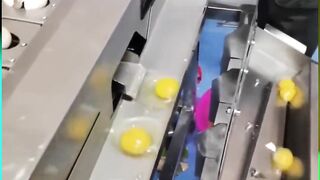 Ball Bearing Assembly