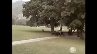 BONANZA - Cavalo de Uma Tonalidade Diferente (Legendado