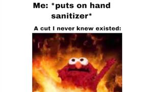 Funny Memes That Make My Monday Better