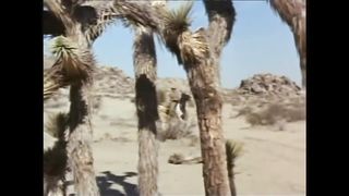BONANZA - Cidade Fantasma (Legendado)