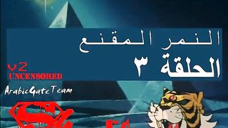 النمر المقنع الحلقة 3