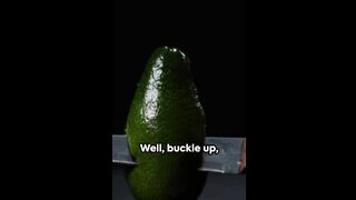 Avocado Daily_ Body Transformation