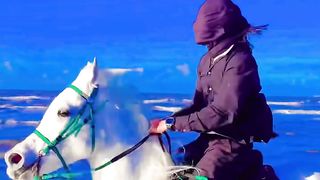 اتفرج وشوف عشاق الخيول