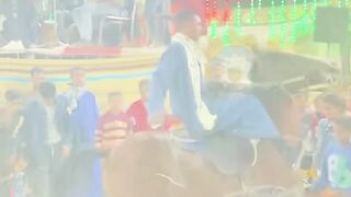 رقص بالخيل ف الافراح المصريه