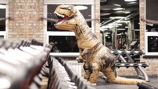 Dinosaur doll with person inside in the gym