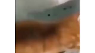 فديو كوميدى