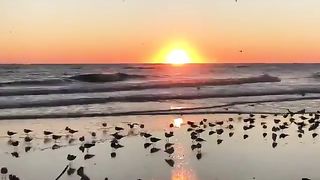 مناظر طبيعية8