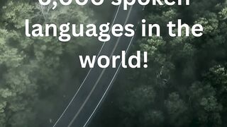 Fun Facts