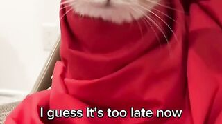 This customer didn't tip at the end#cat