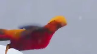 مناظر طبيعية11
