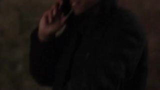THE FOLLOWING TEMP 03 CAP 13