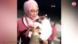 the doll was taken by a cute cat