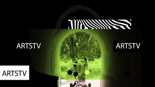 Flamenco dance TV