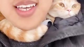 Cat watching behind the owner