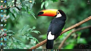 RIP Android Apps in Windows 11