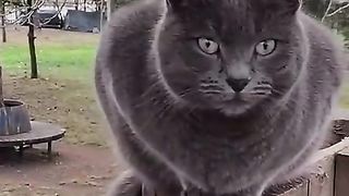 Don't touch me I bite