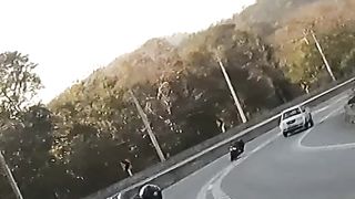 Bike lovers ❤❤