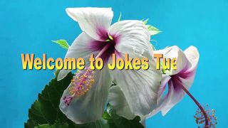 IQ JOKES BETWEEN AMERICA AND CAMEROON