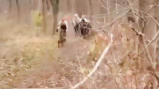 funny moments Videos