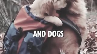 Only Women, Children and Dog~ Inspirational Lines~ Motivational Quotes ~ #shorts #inspiration