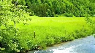 Natural winter video