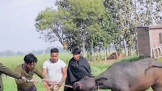 Lets seewatch very funny clip